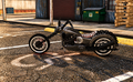 DG RIDER (Lore Friendly)